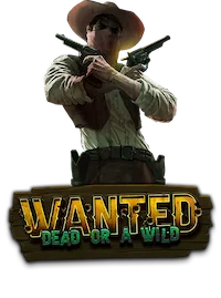 Wanted Dead or a Wild presentation Wanted Dead or a Wild presentation